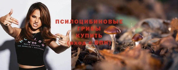 Альфа ПВП Дмитровск