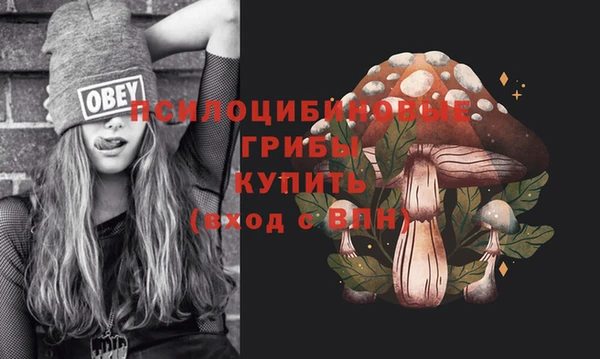 Альфа ПВП Дмитровск