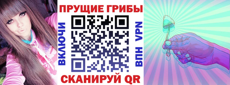 Галлюциногенные грибы ЛСД  Купить где  Высоцк 