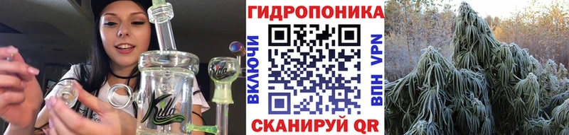 Купить где  Высоцк  Марихуана Ganja 